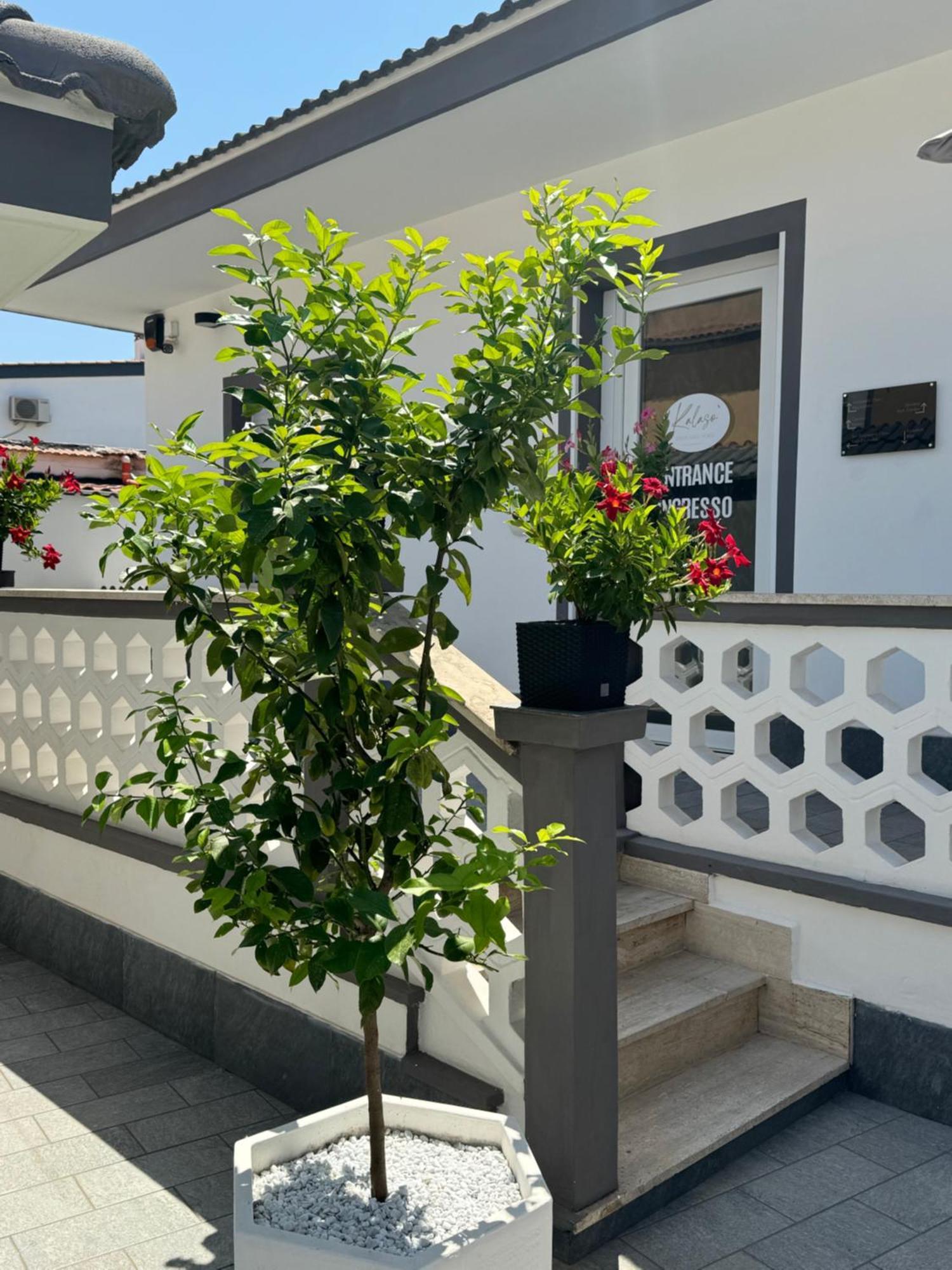 Kalaso Design Guest House - Rome Airport Ф'юмічіно Екстер'єр фото